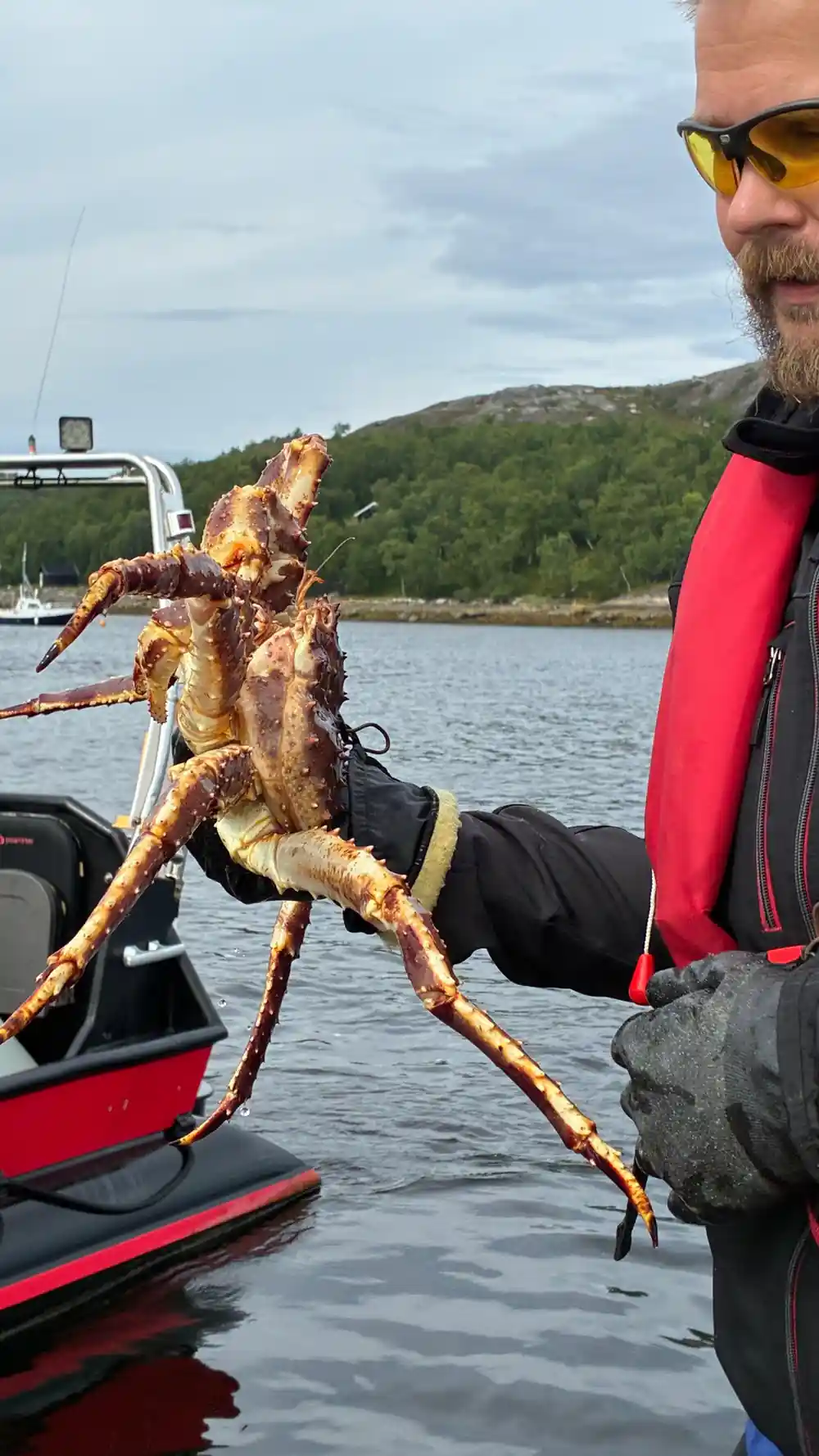 A live king crab held out over the water from the boat