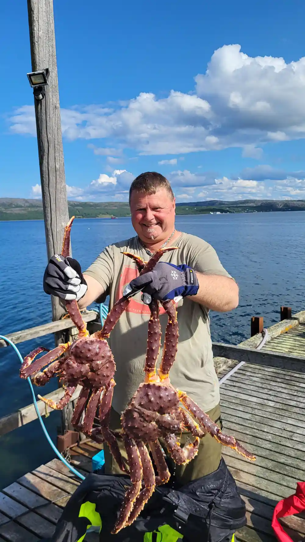 A man on the pier holding a king crab in bright sun